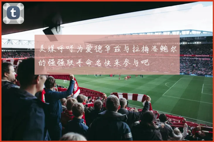 美媒呼吁为爱德华兹与拉梅洛鲍尔的强强联手命名快来参与吧