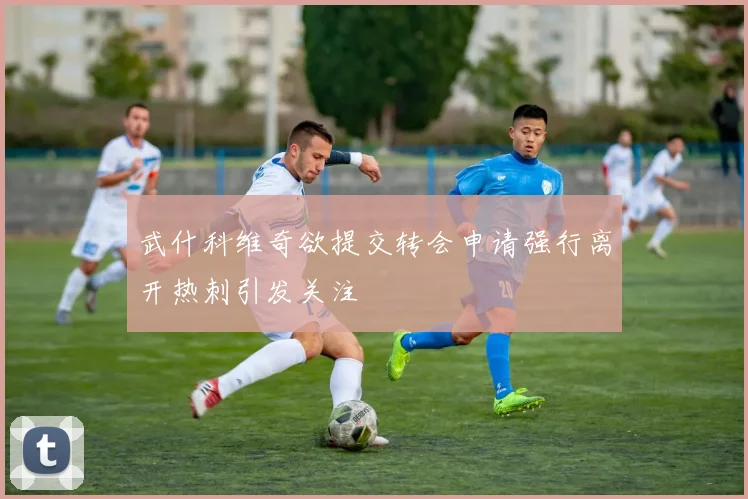 武什科维奇欲提交转会申请强行离开热刺引发关注